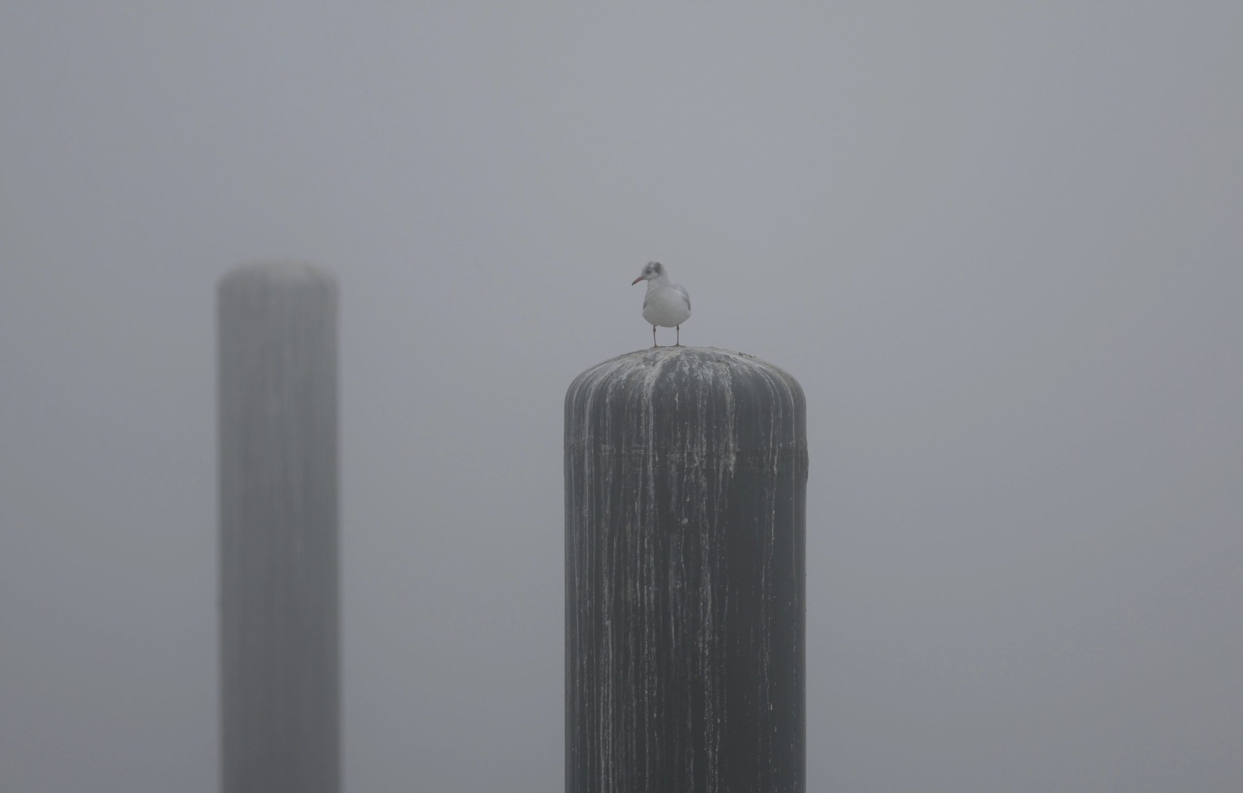 Photo: Milan Maricic/ATAImages