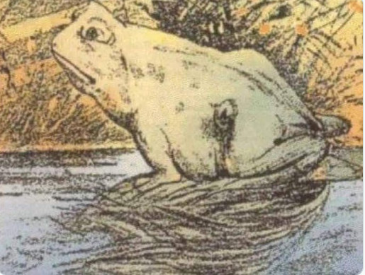 OPTIČKA