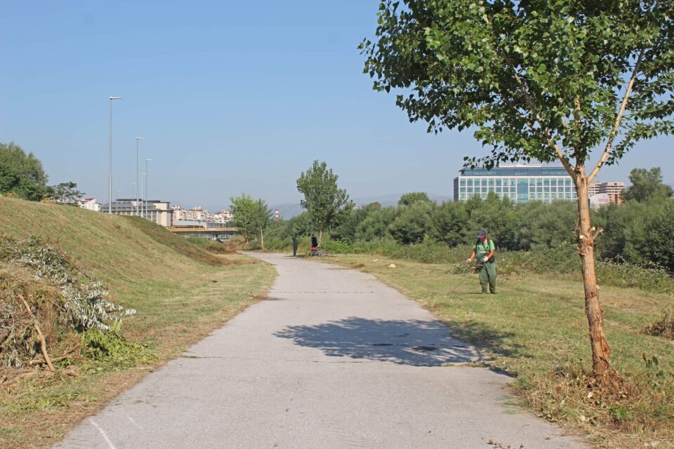 MAŽ
