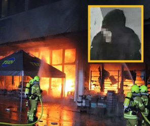 Десетгодишно девоjче намерно запалило супермаркет во Хановер – зградата изгорела до темел (ВИДЕО)
