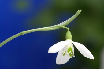 ВРЕМЕНСКА ПРОГНОЗА ЗА 18.05.2025-СЕ ВРАЌААТ ПРОЛЕТНИТЕ ТЕМПЕРАТУРИ!