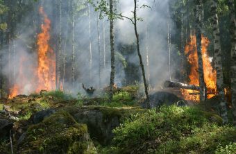 РЕГИСТРИРАНИ 22 ПОЖАРИ – СЕДУМ СÈ УШТЕ АКТИВНИ НА ТЕРИТОРИЈАТА НА МАКЕДОНИЈА!