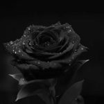 фото: ХајпТв