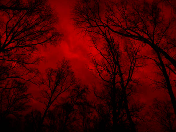 фото: istockfoto.com