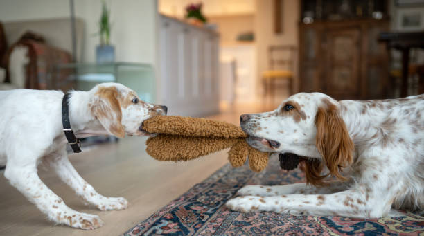 фото: istockfoto.com
