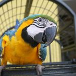 фото: istockfoto.com