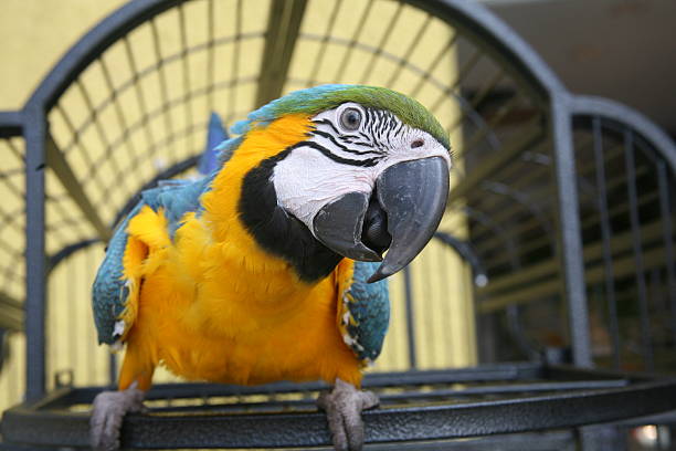 фото: istockfoto.com