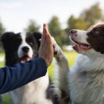 фото: istockfoto.com