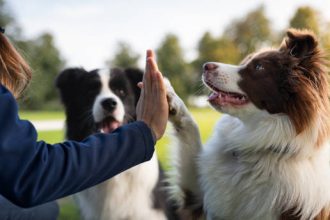 фото: istockfoto.com