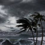 фото: istockfoto.com