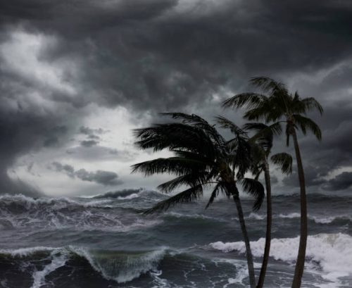 фото: istockfoto.com