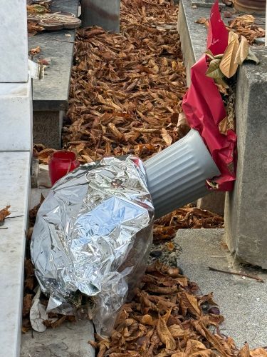 Фото: Хајп тв