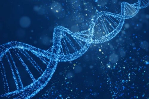 фото: istockfoto.com