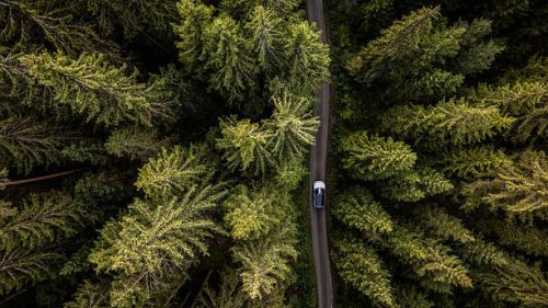 фото: istockfoto.com