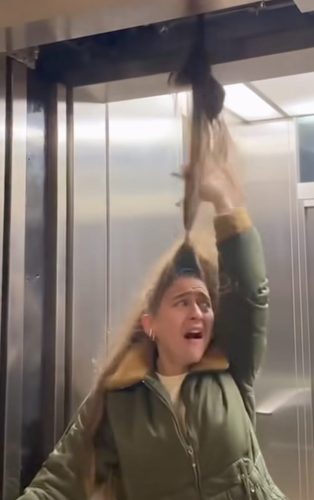 Фото: Instagram / Printscreen realnicogs